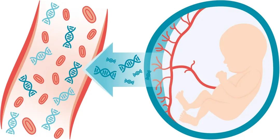 香港验DNA