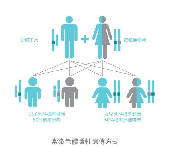 单基因遗传病,单基因遗传病类型,常染色体隐性遗传