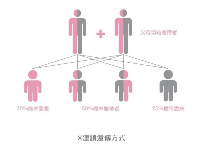 单基因遗传病,单基因遗传病类型,X连锁遗传病